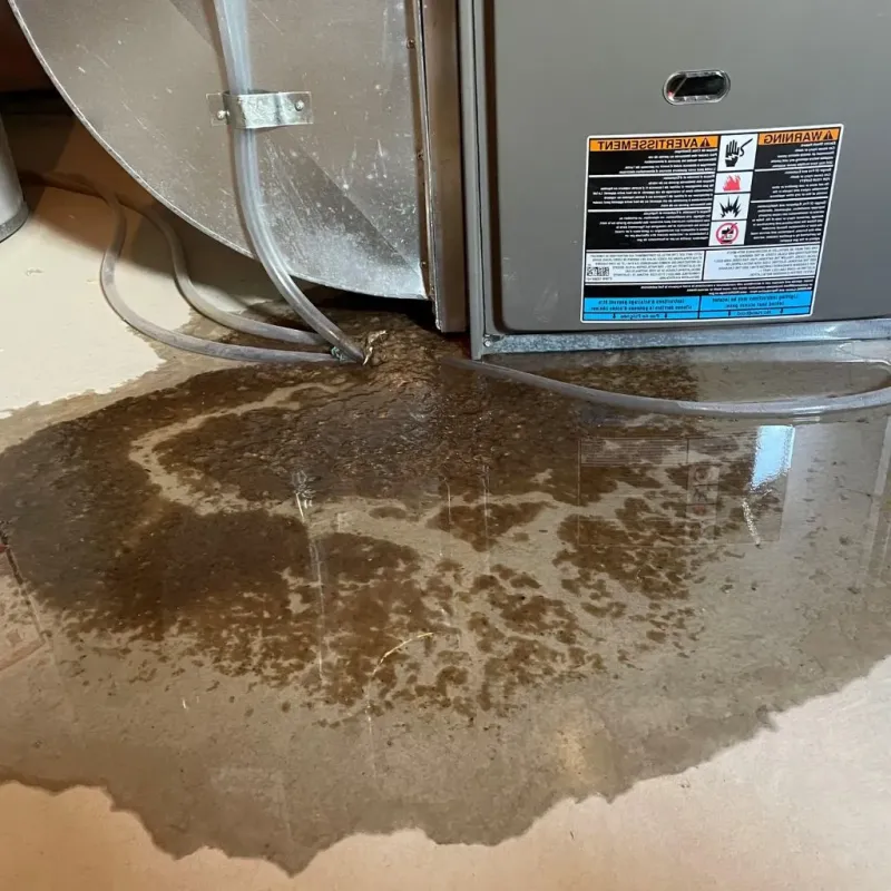 Pipe Burst and Leak Restoration in Brentwood, MO
