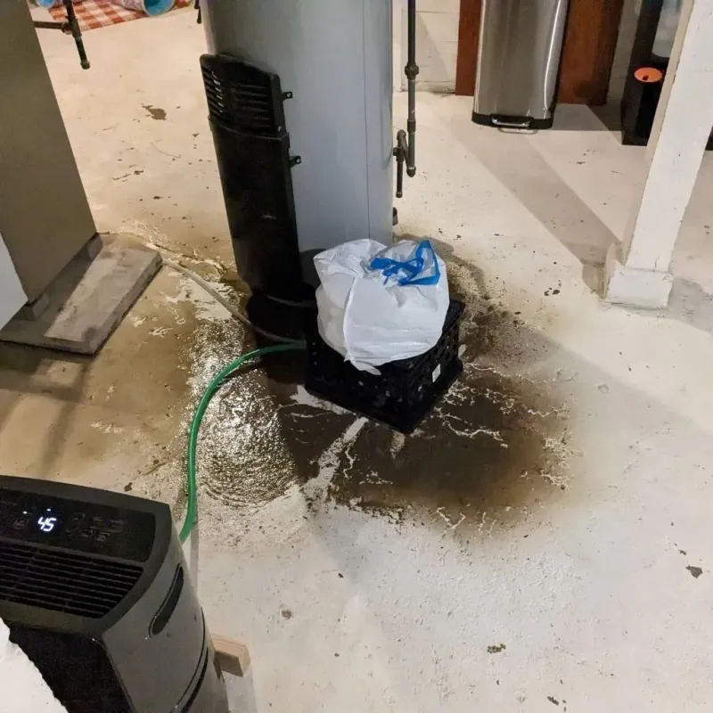 Sewage Backup Cleanup Service in Brentwood, MO
